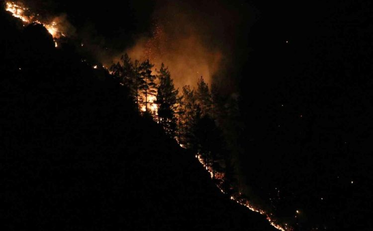  Alanya’daki orman yangınına yakın yerleşim yeri boşaltıldı