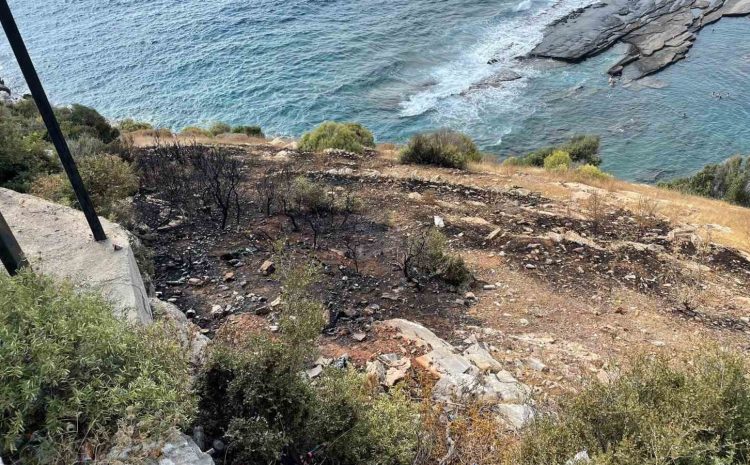  Antalya’da otluk alanda çıkan yangın büyümeden söndürüldü