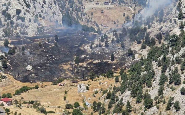  Kırsal alan yangınında 1 hektar zarar gördü