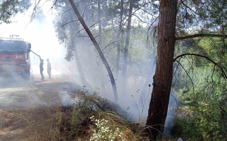  Manavgat’ta 30 dakika arayla iki ayrı noktada çıkan orman yangınları söndürüldü