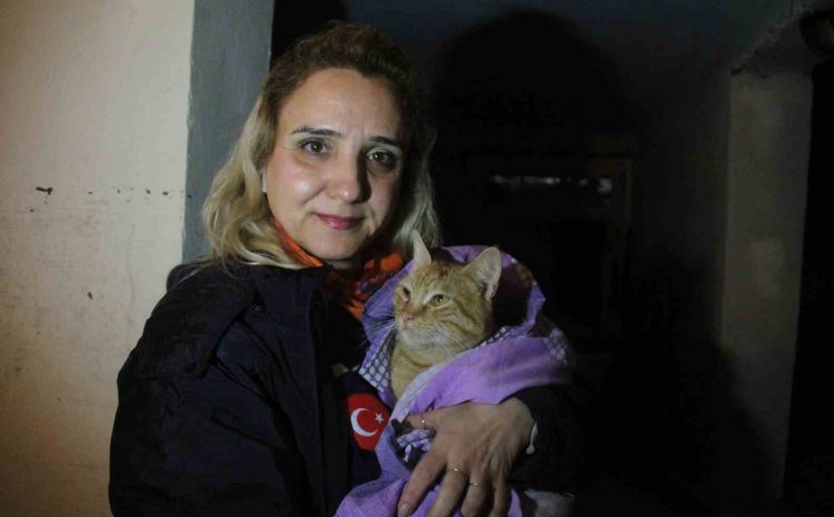 Sel suyuyla dolu bodrum katta ölümü göze alıp kedisini kurtaran kadın o anları anlattı